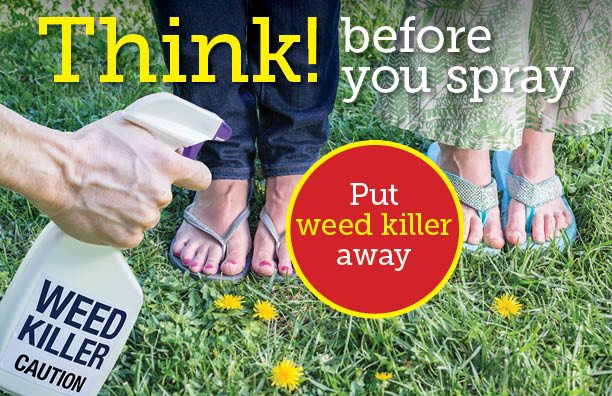 Think before you spray. Put weed killer away.