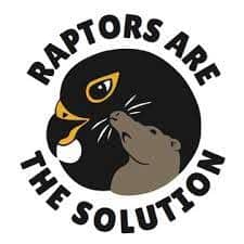 Raptors are the Solution