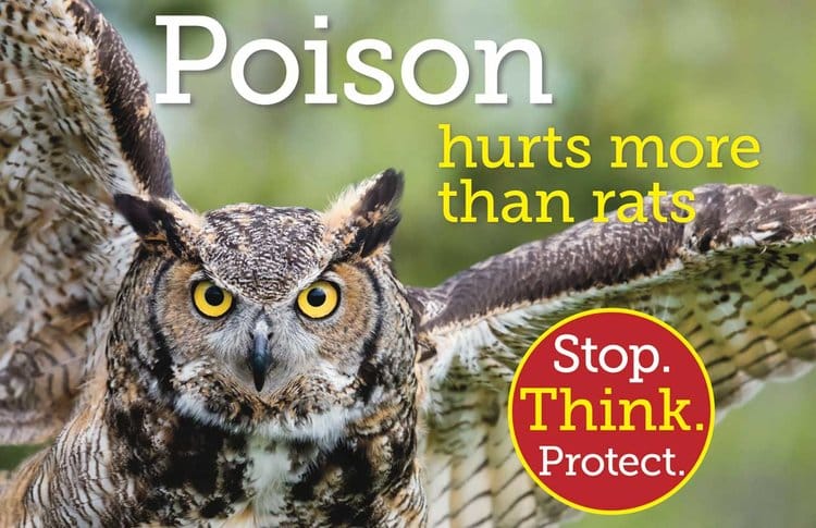 Poison hurts more than rats. Stop. Think. Protect.