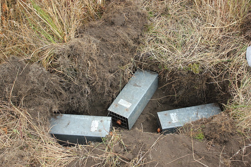 Gopher traps