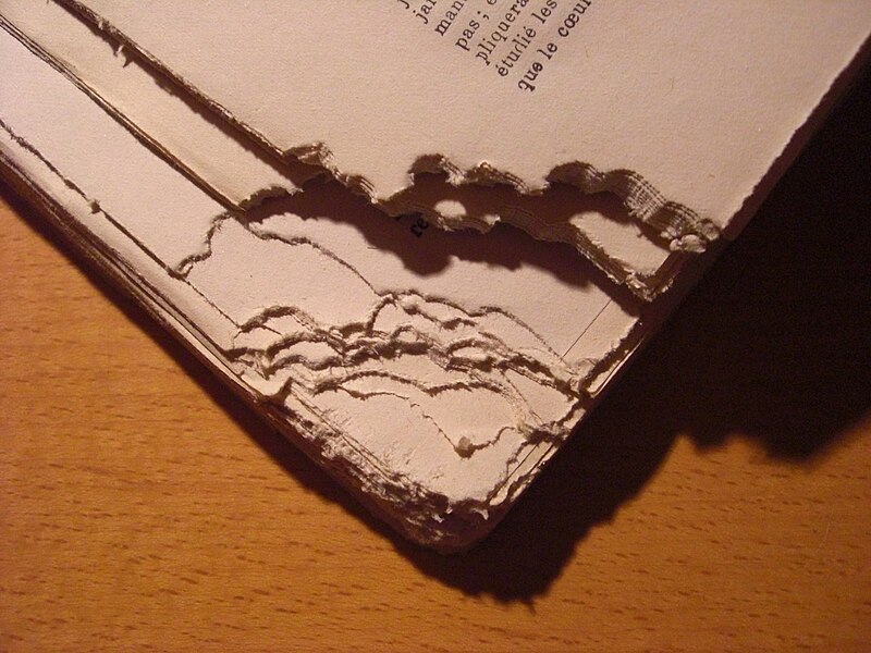 Book that has been damaged by mice