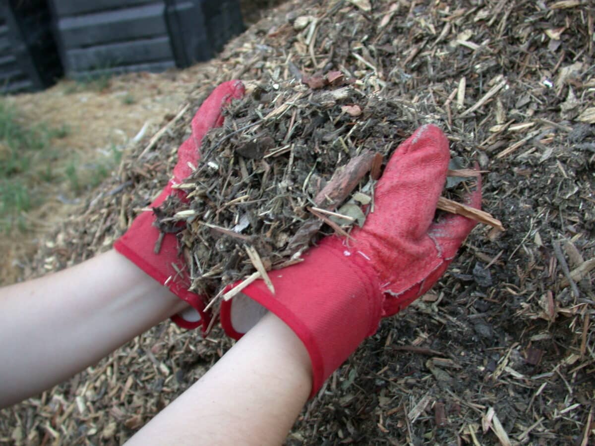 Prevent Weeds with Mulch YardSmartMarin